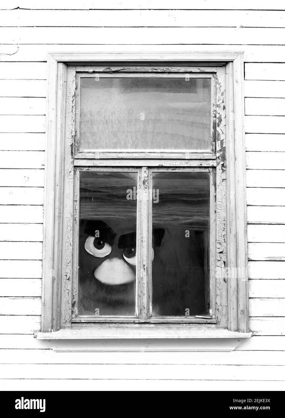 Moderne Wohn-Fenster Stockfoto