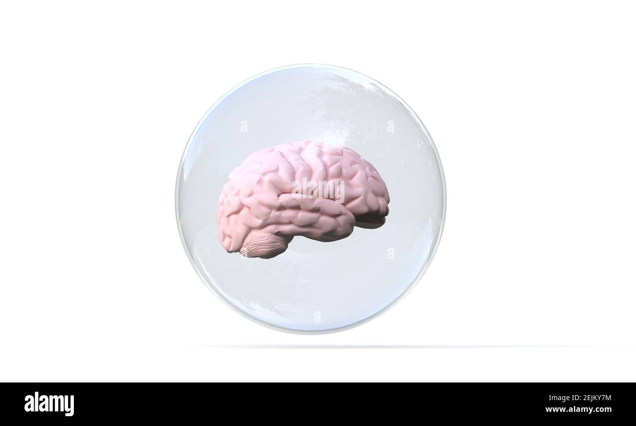 Menschliches Gehirn in einer Blase - 3D Rendering Stockfoto
