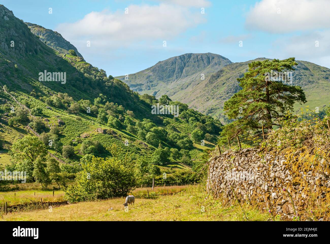 Schaffarm am englischen Lake District in Cumbria, England, mit dem Great Gable Mountain im Hintergrund Stockfoto