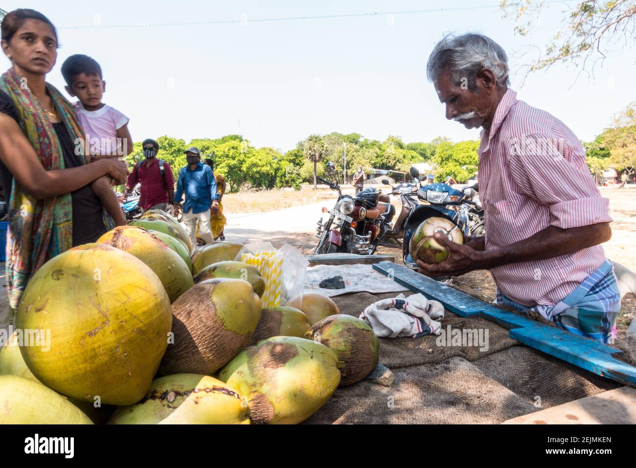 Kokosnussgetränk Verkäufer in Mahabalipuram, Tamil Nadu. Indien Stockfoto