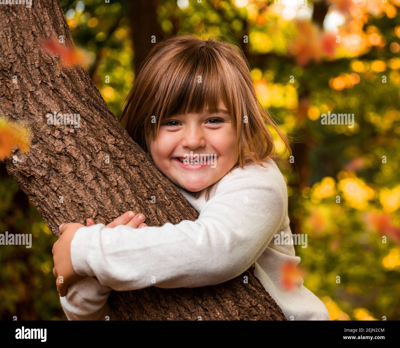 Kleines glückliches Mädchen umarmt einen Baum mit goldenem Herbstlaub Im Hintergrund in einem Wald Naturpark auf einem Sonniger Spätsommertag Stockfoto