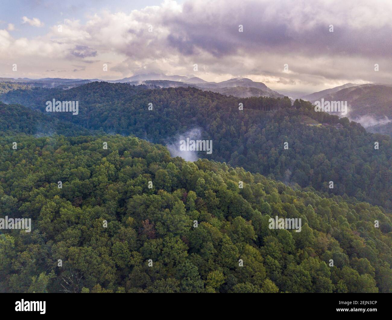 Luftaufnahme der Wolken, die aus dem Wald in den Blue Ridge Mountains von North Carolina aufsteigen. Stockfoto
