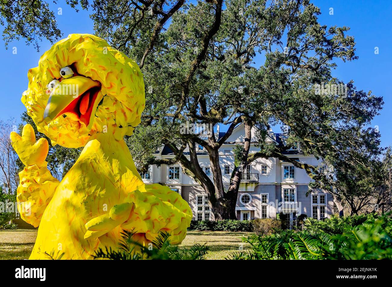 Ein großer Vogel Mardi Gras Dekoration steht in einem Hof auf Government Street, Feb. 19, 2021, in Mobile, Alabama. Stockfoto