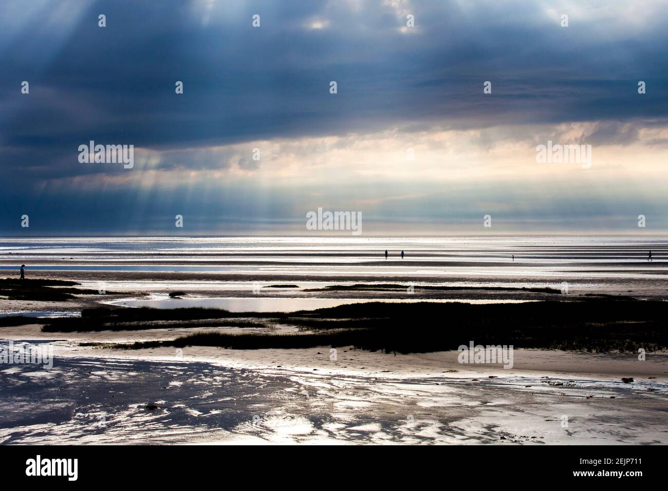 Ich war von den wunderschönen Lichtwellen beeindruckt, die an einem späten Sommernachmittag dieses Jahr am Skaket Beach in Orleans herunterströmten. Stockfoto