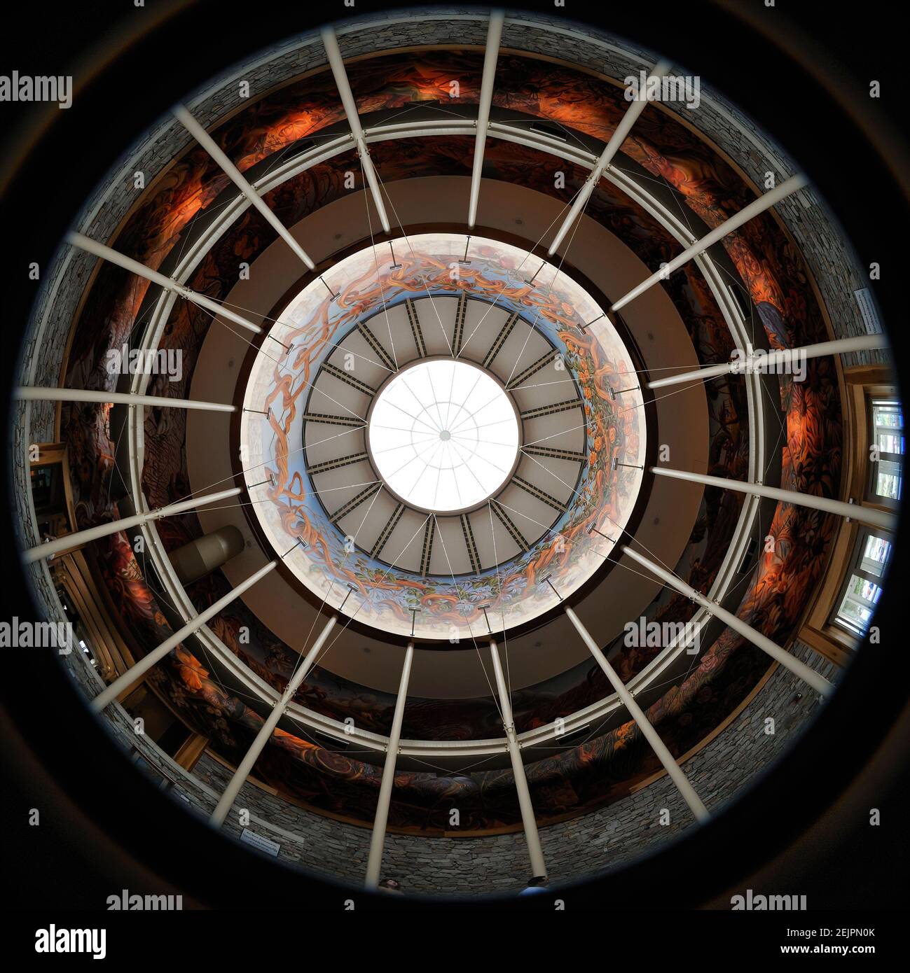 Das Innere der Rotunde der White River Gardens in Indianapolis, IN. Die Innenwand der Rotunde ist mit dem Wandbild 'Midwest Panorama' bemalt Stockfoto
