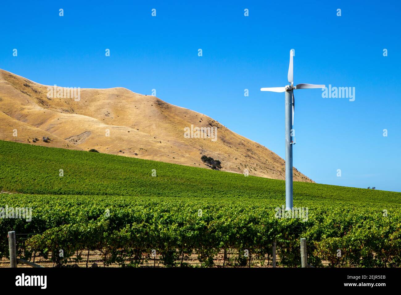 Ein Weinanbaugebiet mit Windturbinen zur Reduzierung von Frostschäden in einem Weinberg in Marlborough, Neuseeland Stockfoto