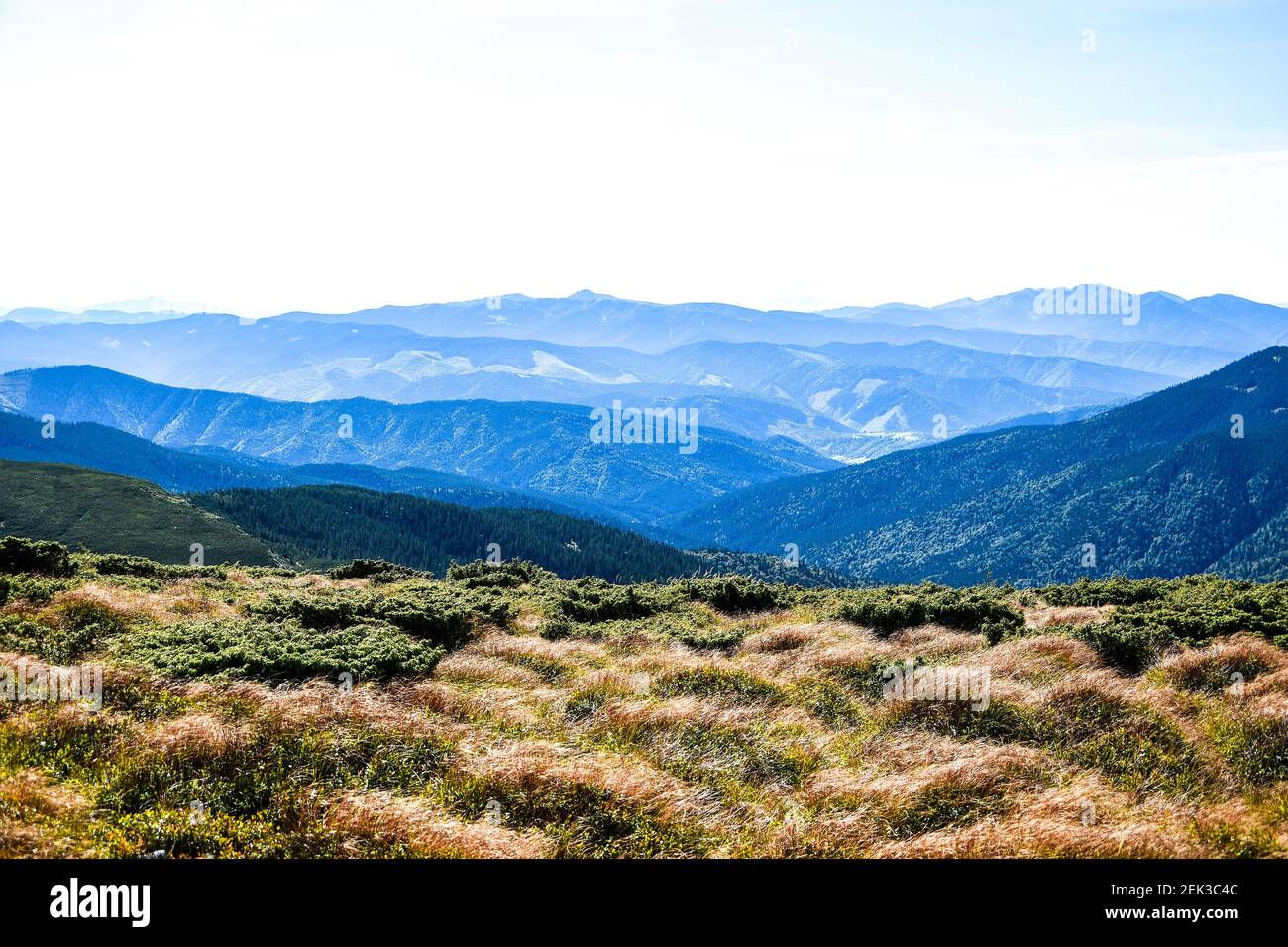 Blick beim Klettern auf den Berg Hoverla. Blick auf die Berge, Wälder und Wolken. Ukrainische Karpaten. Blauer Himmel. Naturlandschaft Stockfoto