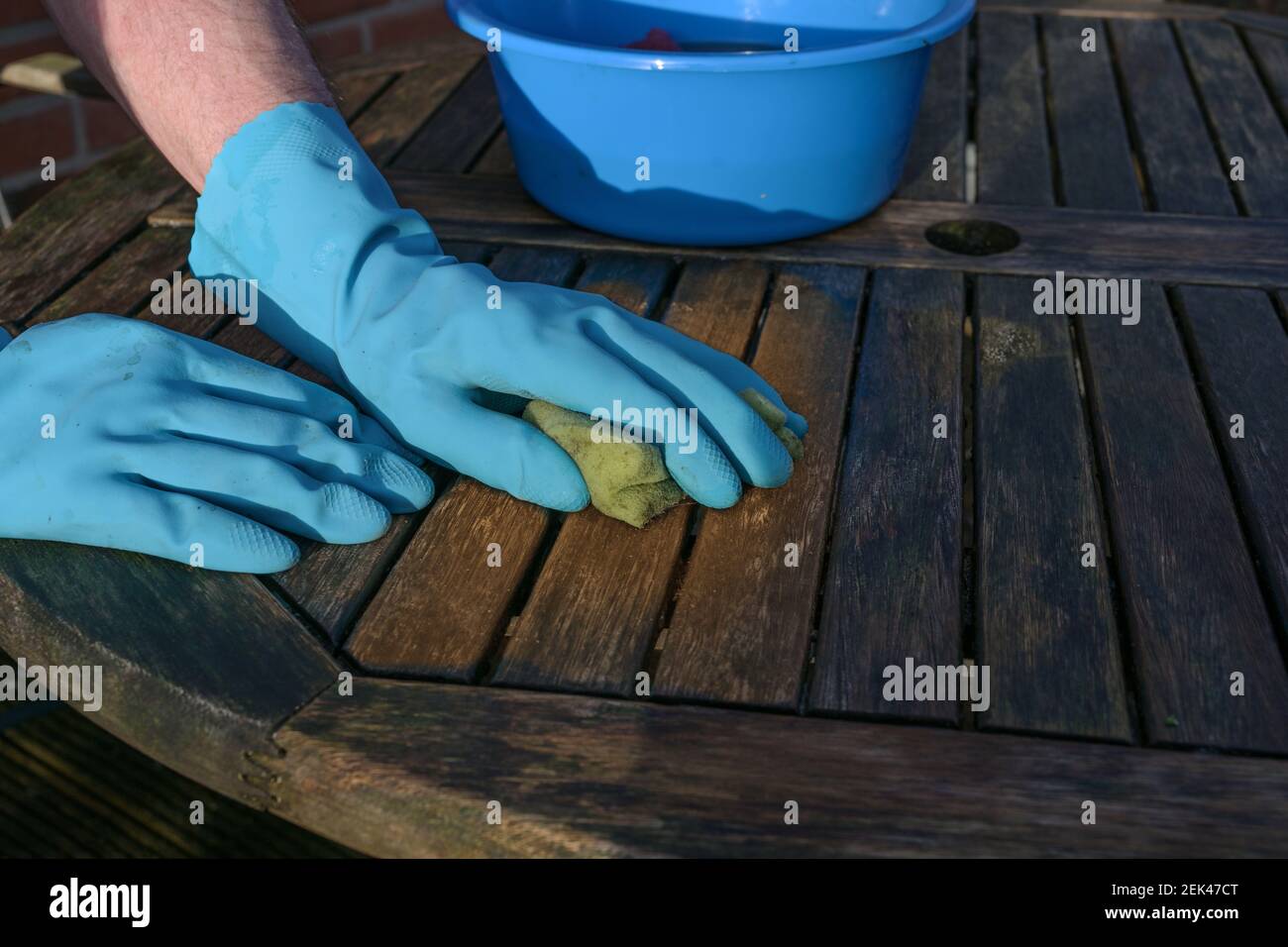 Hände in blauen Gummihandschuhen reinigen einen verwitterten Gartentisch aus Holz zu Beginn des Frühlings für die Outdoor-Saison, Kopierraum, ausgewählter Fokus Stockfoto