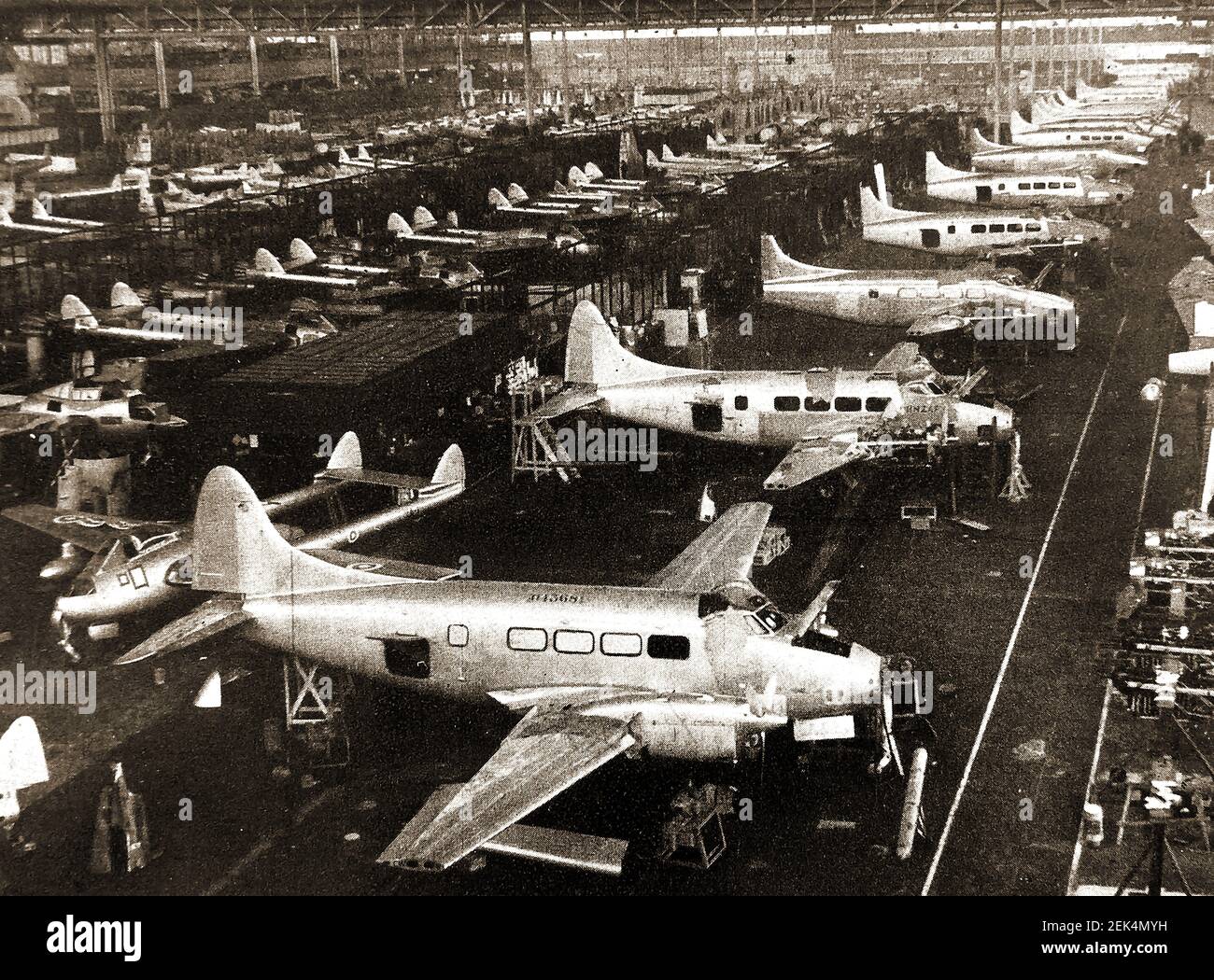 Ein altes gedrucktes Foto zeigt die Montagelinie in der De Havilland Flugzeugfabrik in Broughton, Chester (UK) - Reihen von Dove Leichtflugzeugen sind vorne mit Vampire Jet Trainern dahinter. Die Fabrik baute auch Chipmunks im kanadischen Design. Stockfoto