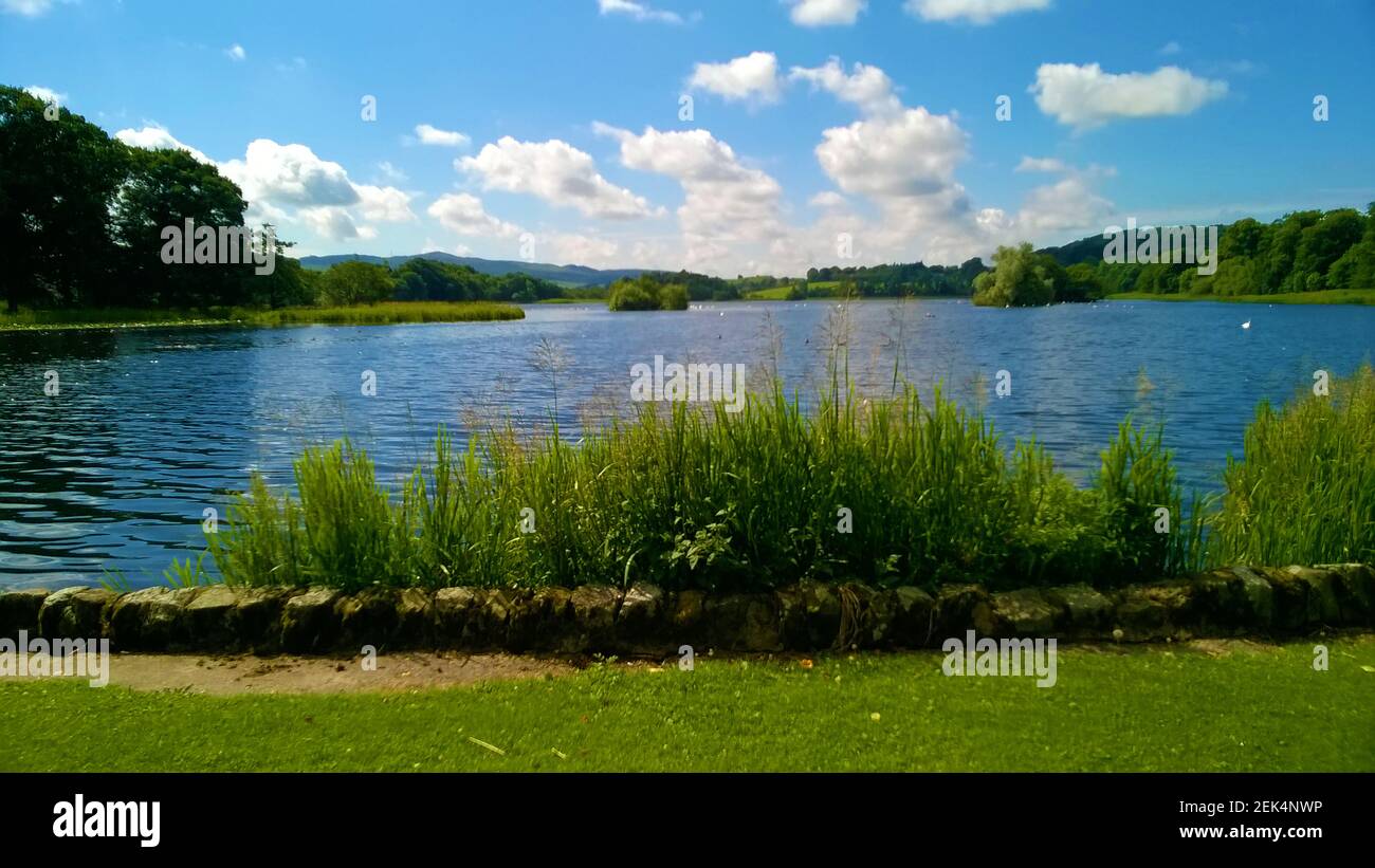 Carlingwark Loch, Castle Dougas (Gälisch: Caistal Dhùghlais) ,Dumfries & Galloway, Schottland -- das loch liegt am Rande der Stadt, zu Fuß leicht erreichbar und mit einem Park bis an seinen Rand. In der Nähe des loch gibt es auch einen Caravanpark, prähistorische, bronzezeitliche und römische Werkzeuge und andere Artefakte wurden im loch und auf seinen Inseln gefunden, sowie Überreste von Spuren prähistorischer Schädel (Ufer-/Wasserhäuser). Castle Douglas (Scotland's Food Town) wurde 1792 von William Douglas gegründet. Die Castle Douglas and Dumfries Railway kam 1859 in die Stadt (geschlossen 1965). Stockfoto
