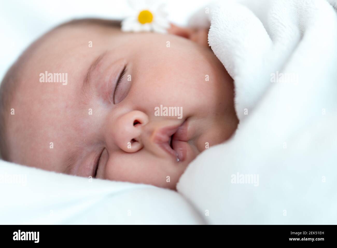 Nahaufnahme des Neugeborenen. Seitenansicht eines mollig dicken Säuglings, das auf seinem Rücken fest schläft, mit Kamille hinter dem Ohr auf weißem Hintergrund Stockfoto