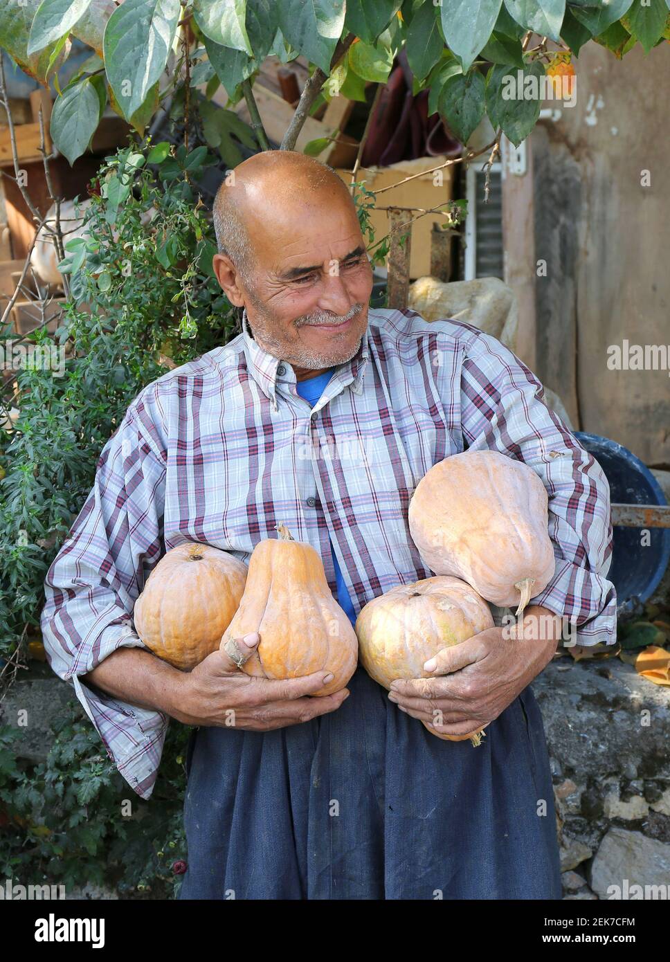 CAMLIYAYLA,ICEL,TÜRKEI-OKTOBER 30:Unidentifizierter alter schüchterner Mann, der seinen Kunden seine Kürbisse zeigt.Oktober 30,2016. Stockfoto