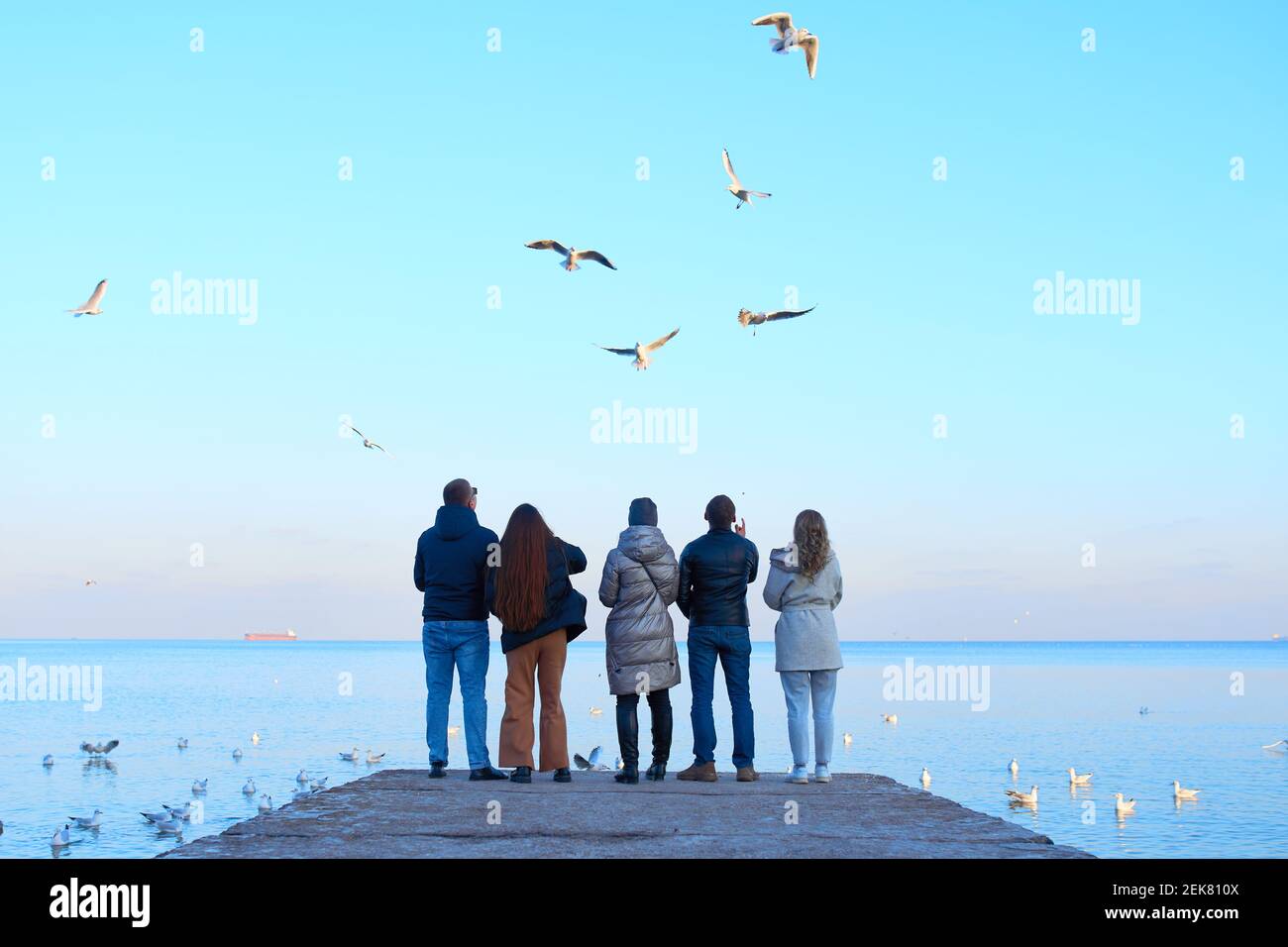 Eine Gruppe von Freunden füttert Möwen am Strand Stockfoto