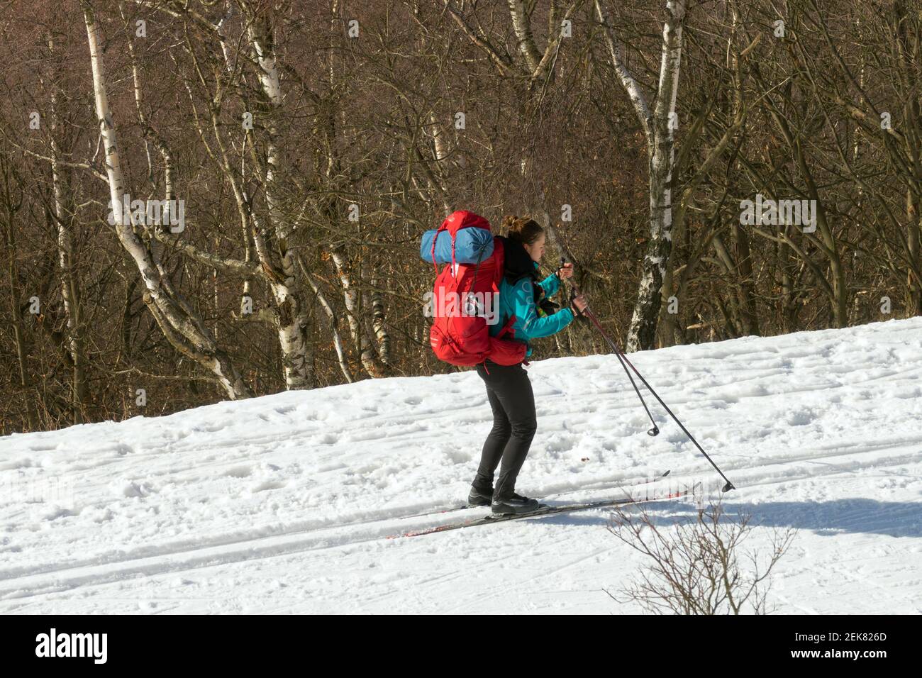Frau wandern mit einem Rucksack auf einer Schneepiste, eine Skifahrerin auf Langlaufloipen, Frau beim Skifahren Stockfoto