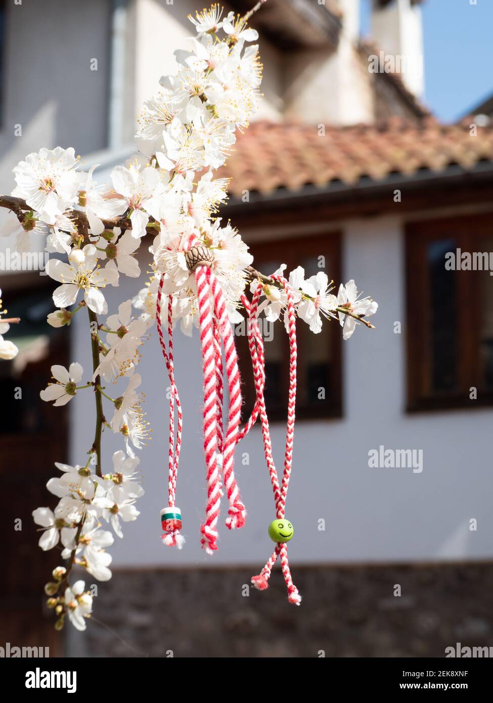 Rot-weiße Martenitsa oder Martison Armbänder, die an den Zweigen des blühenden Baumes hängen - bulgarische und rumänische Frühlingstradition Stockfoto