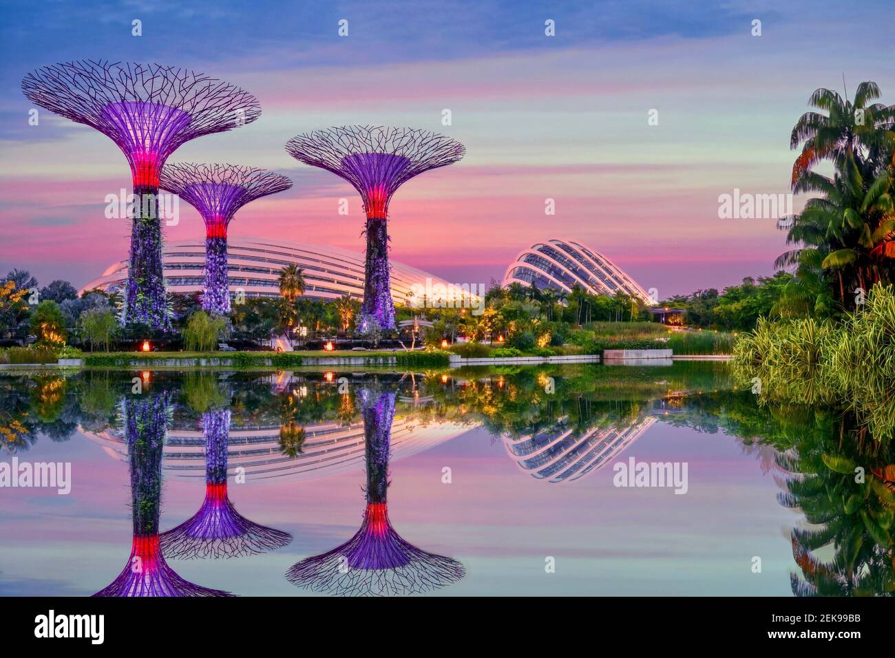 Singapur, Singapur - 12. August 2014. Abends Blick auf Gardens by the Bay, einschließlich beleuchteter Supertrees, Flower Dome und Cloud Forest. Stockfoto