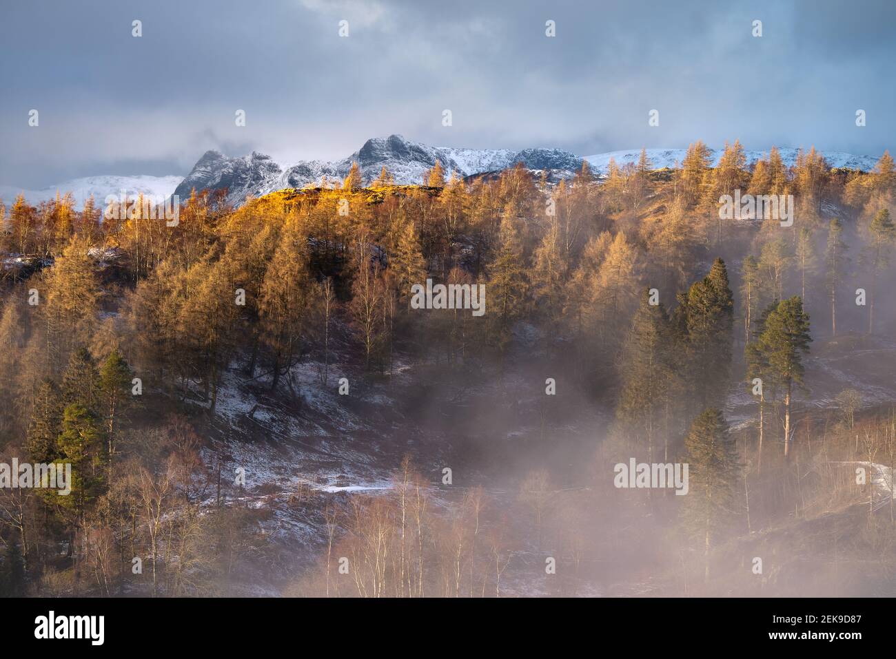 Goldene alpine Landschaft mit schneebedeckten Bergen und dramatischem Himmel. Aufgenommen an einem Winternachmittag in Tarn Hows mit Blick auf die Langdale Pikes. Stockfoto