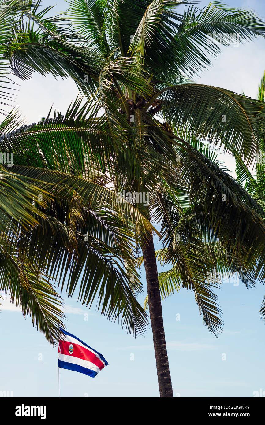 Palme und Costa Rica Flagge gegen blauen Himmel Stockfoto