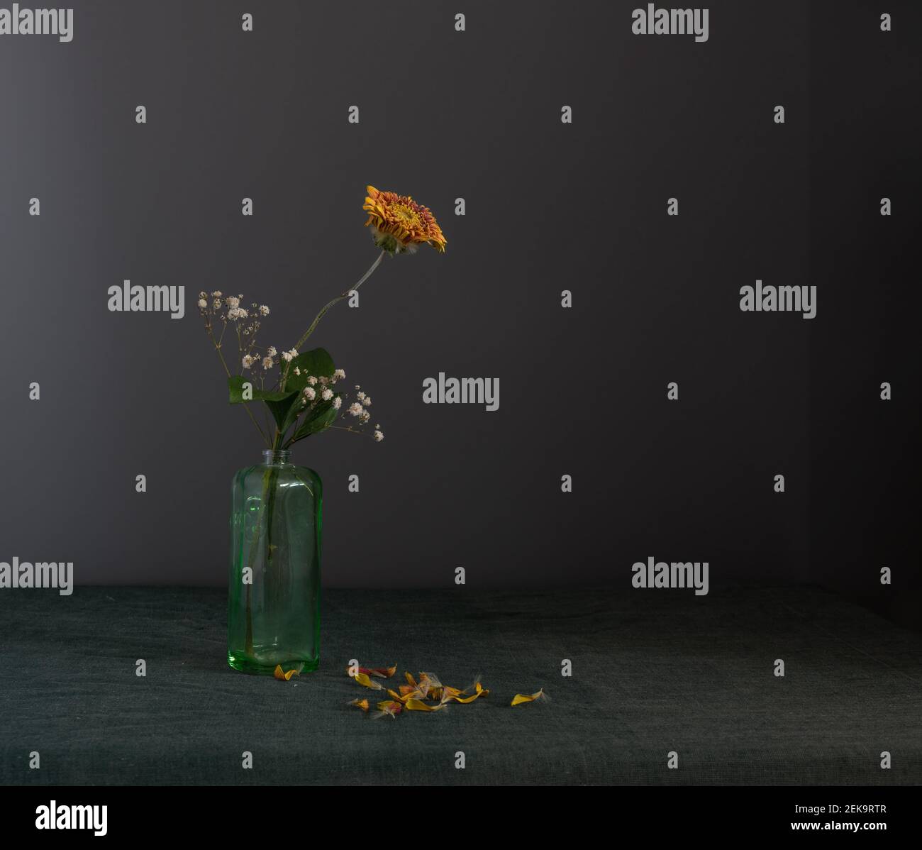 Ein kleiner Strauß getrockneter Blüten mit fallenden Blütenblättern. Minimalismus. Stockfoto