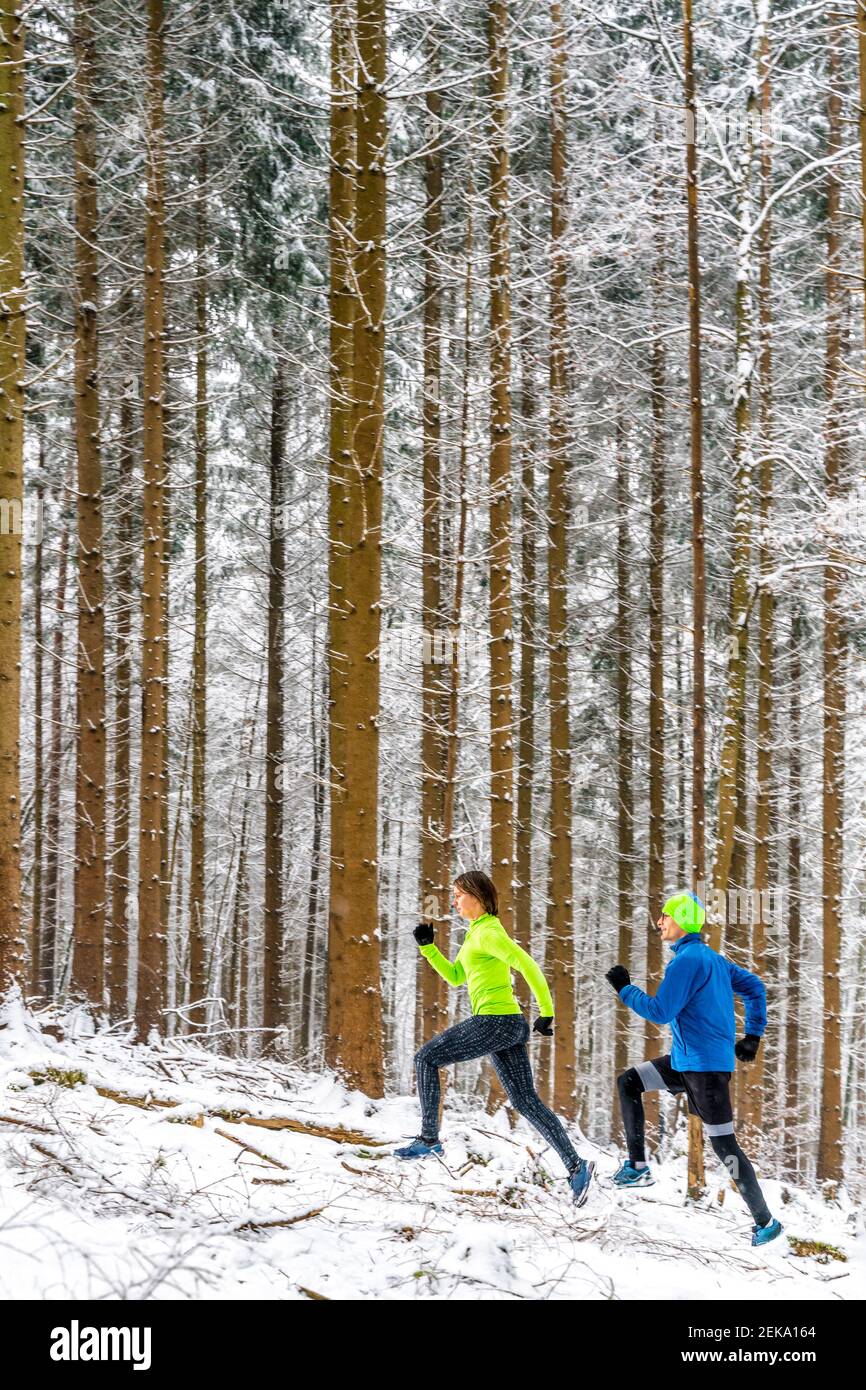 Männliche und weibliche Athleten laufen auf Trail im Wald während Winter Stockfoto
