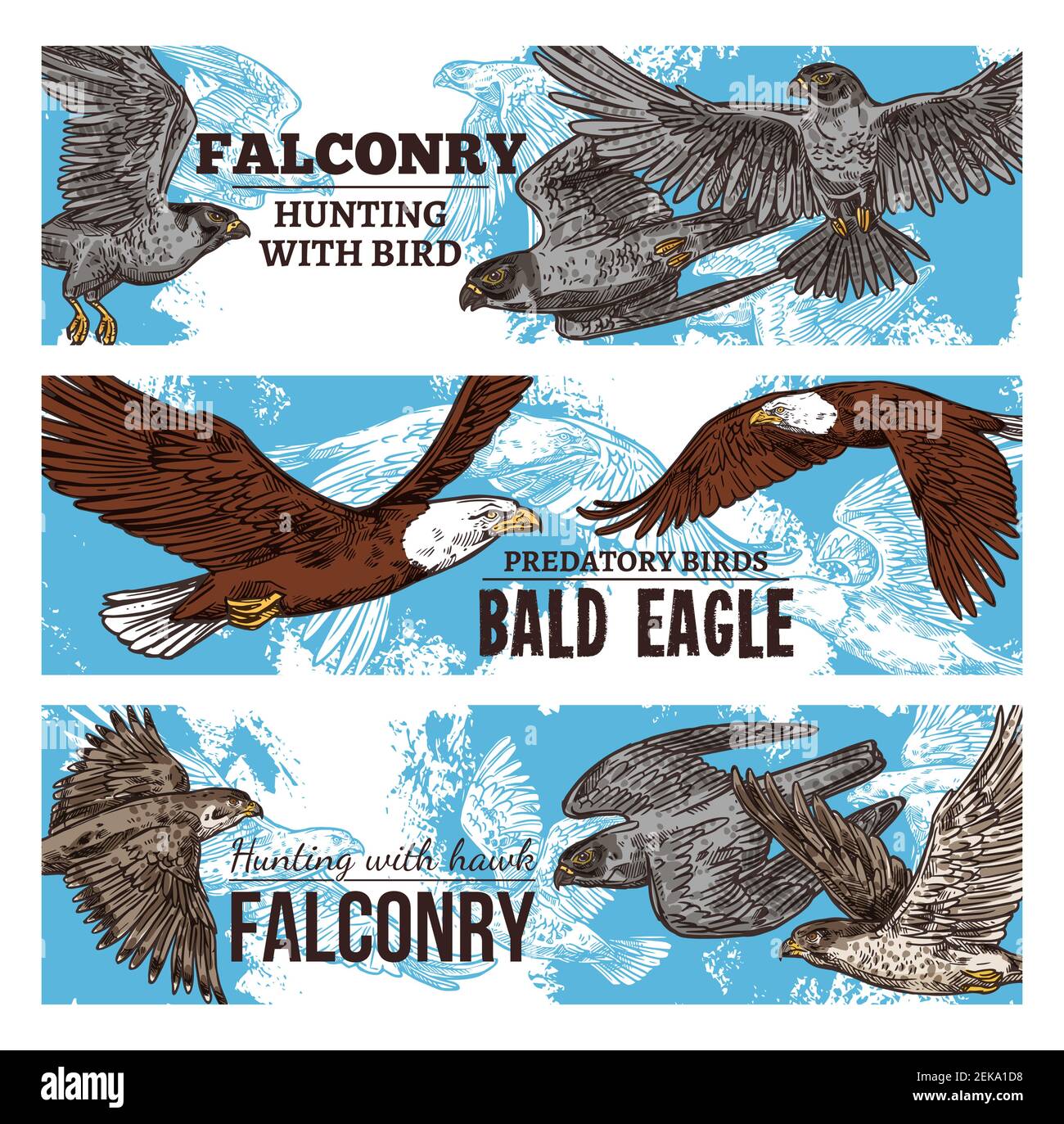 Falknerjagd mit Wildvögeln skizzieren Banner. Vector Adler, Falken und räuberische Geier, Falken Greifvogel und Weißkopfseeadler fliegen in den Himmel in tra Stock Vektor