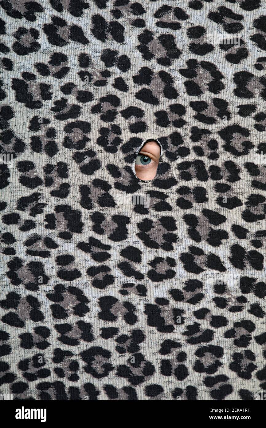 Auge des Teenagers guckt durch Loch im Leopardendruck Muster Stockfoto