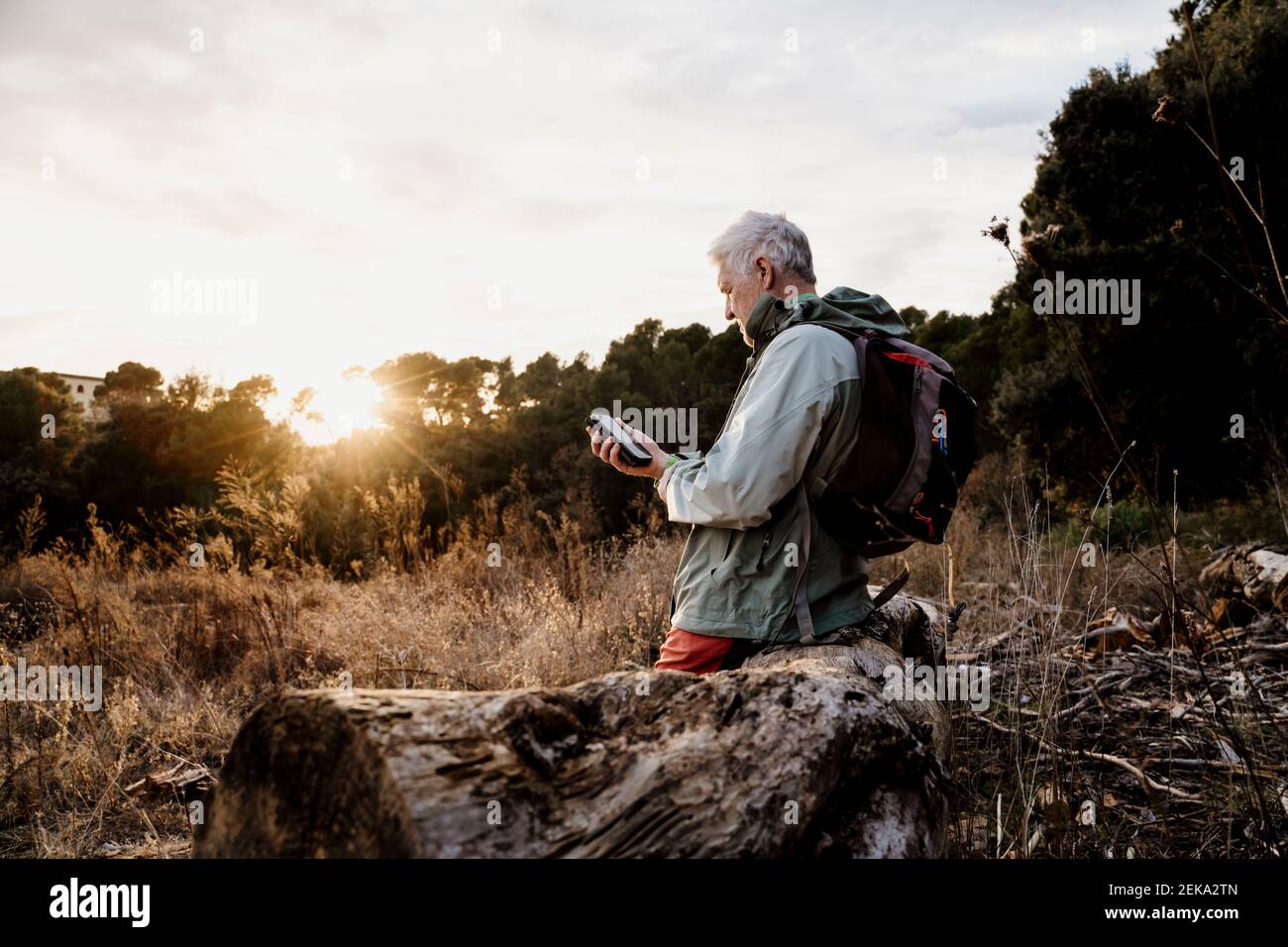 Älterer männlicher Wanderer mit Mobiltelefon auf Holzbalken sitzend Am Wochenende Stockfoto