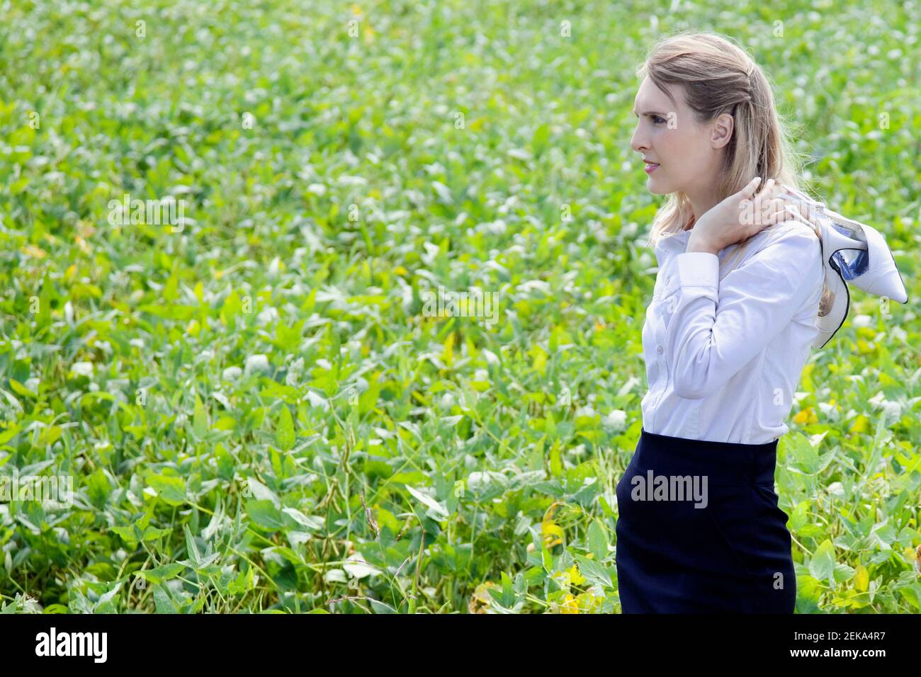 Geschäftsfrau, die auf einem Feld steht Stockfoto