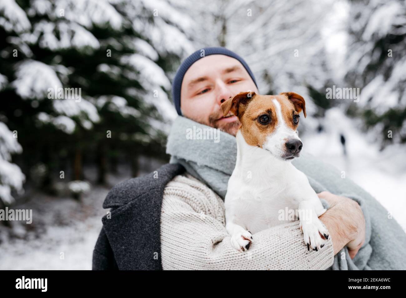 Mann, der den Hund Jack Russell Terrier im Winter ansieht Stockfoto
