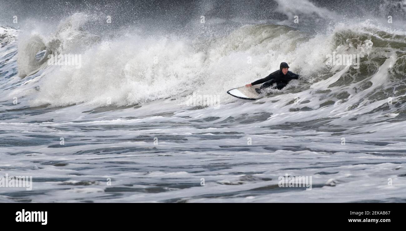 Junger Mann beim Surfen auf dem Meer in Broad Haven South Beach, Wales, Großbritannien Stockfoto