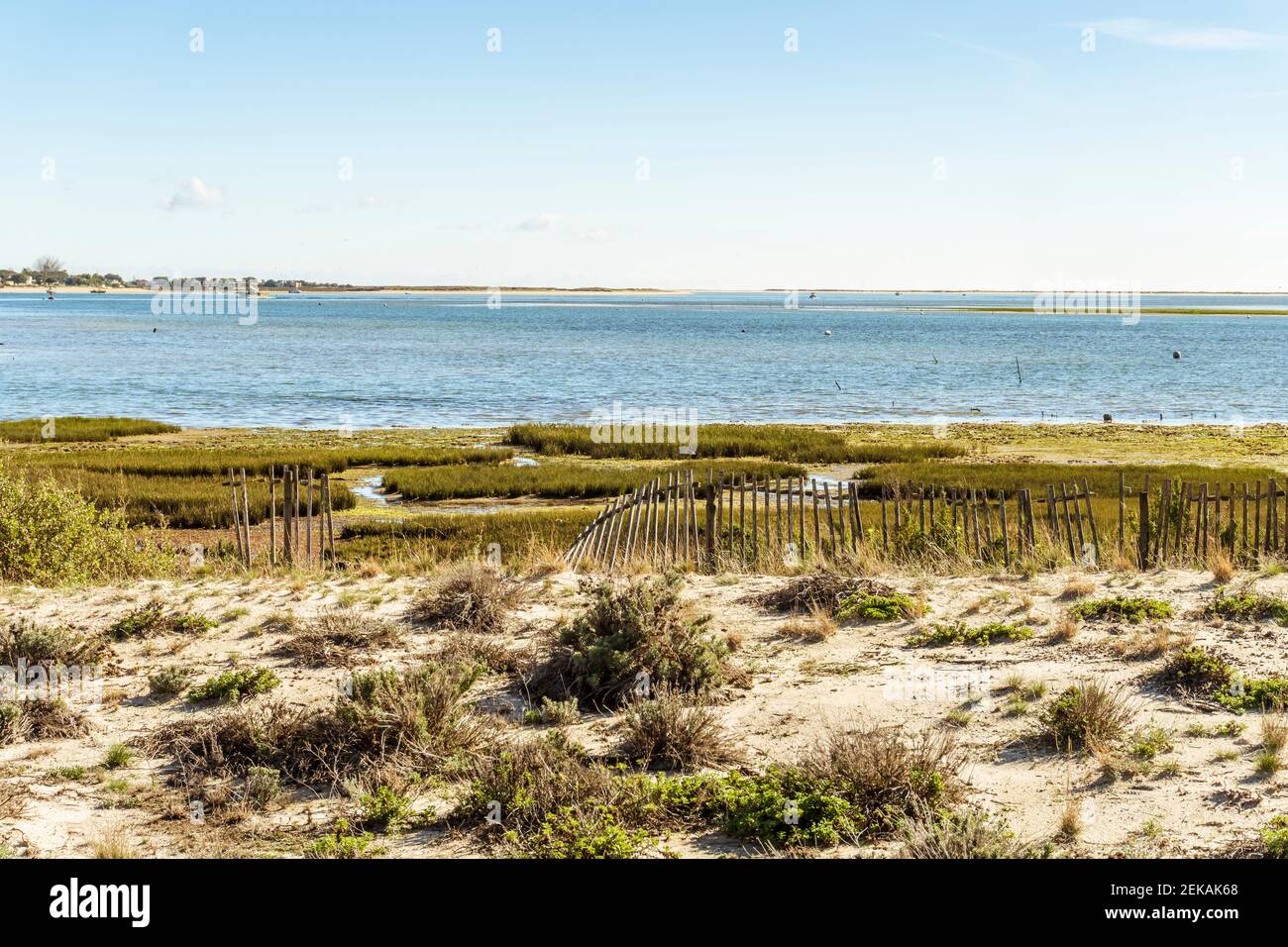 Sanddünen geschützt durch einen Holzzaun wie die schöne Landschaft des Ria Formosa Naturparks, Algarve, Portugal Stockfoto