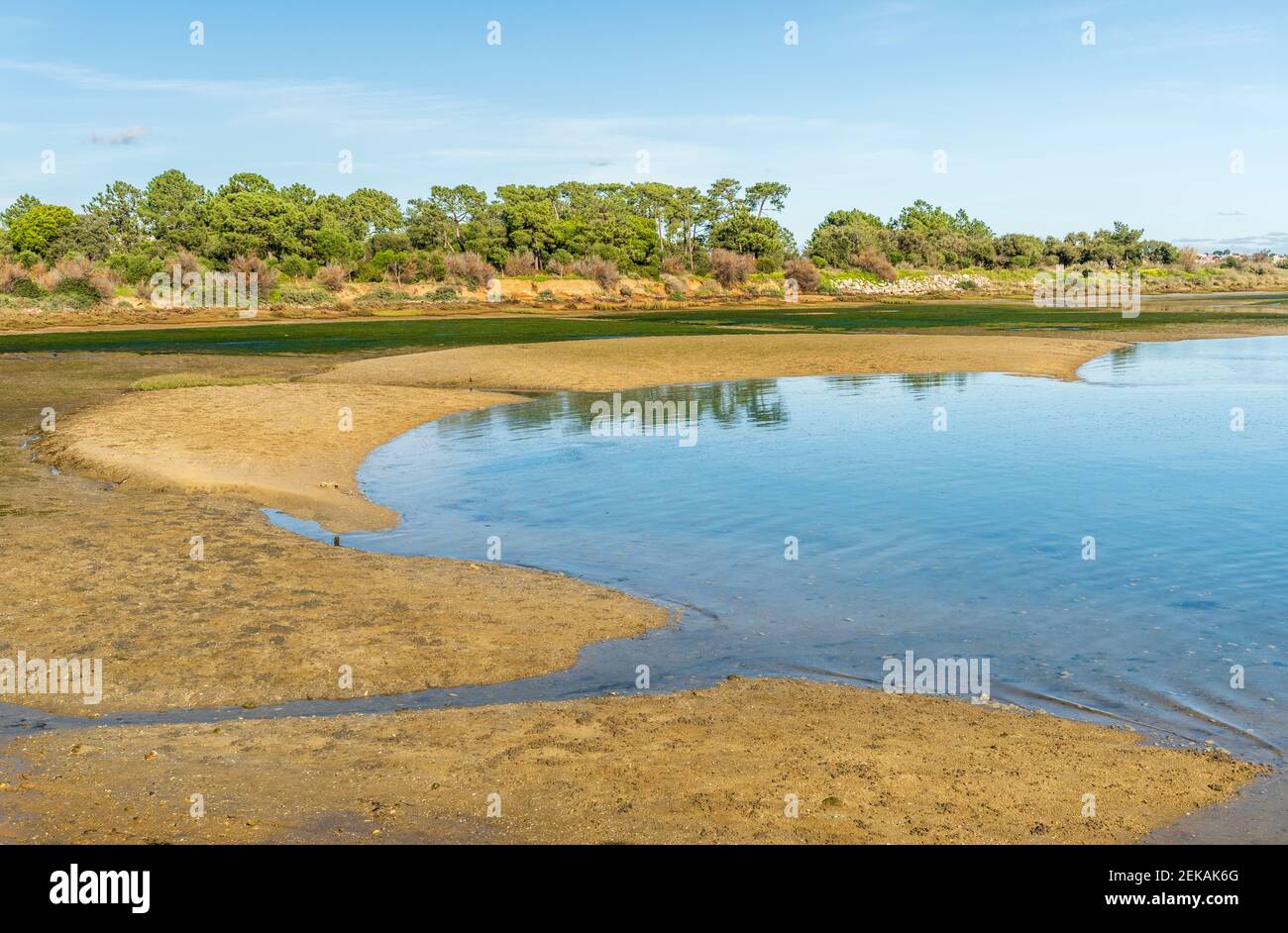 Wunderschöne Landschaft des Naturparks Ria Formosa, Olhao, Algarve, Portugal Stockfoto