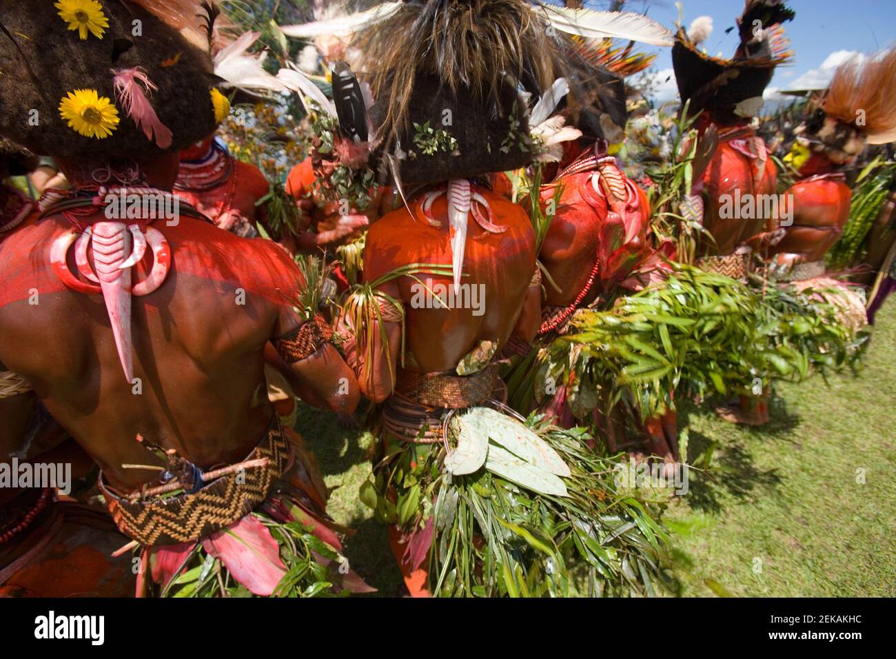 Der bunte huli-Stamm posiert mit ihrer blumigen Krieger-Ausrüstung. DIE HIGHLANDS, PAPUA-NEUGUINEA: STAMMESANGEHÖRIGEN, die sich in lebhaft bunten Körper p Stockfoto