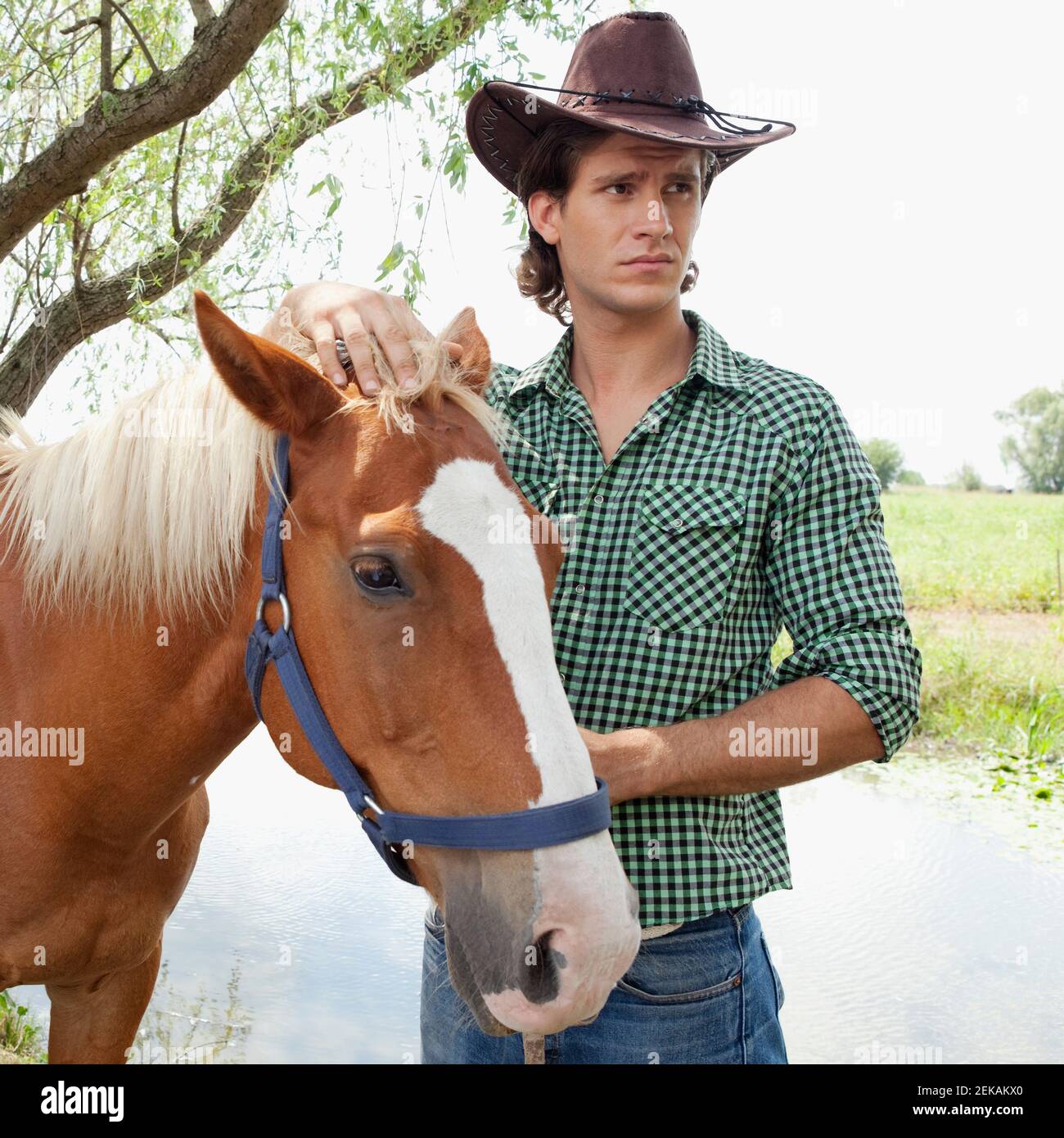 Cowboy steht in der Nähe eines Pferdes Stockfoto