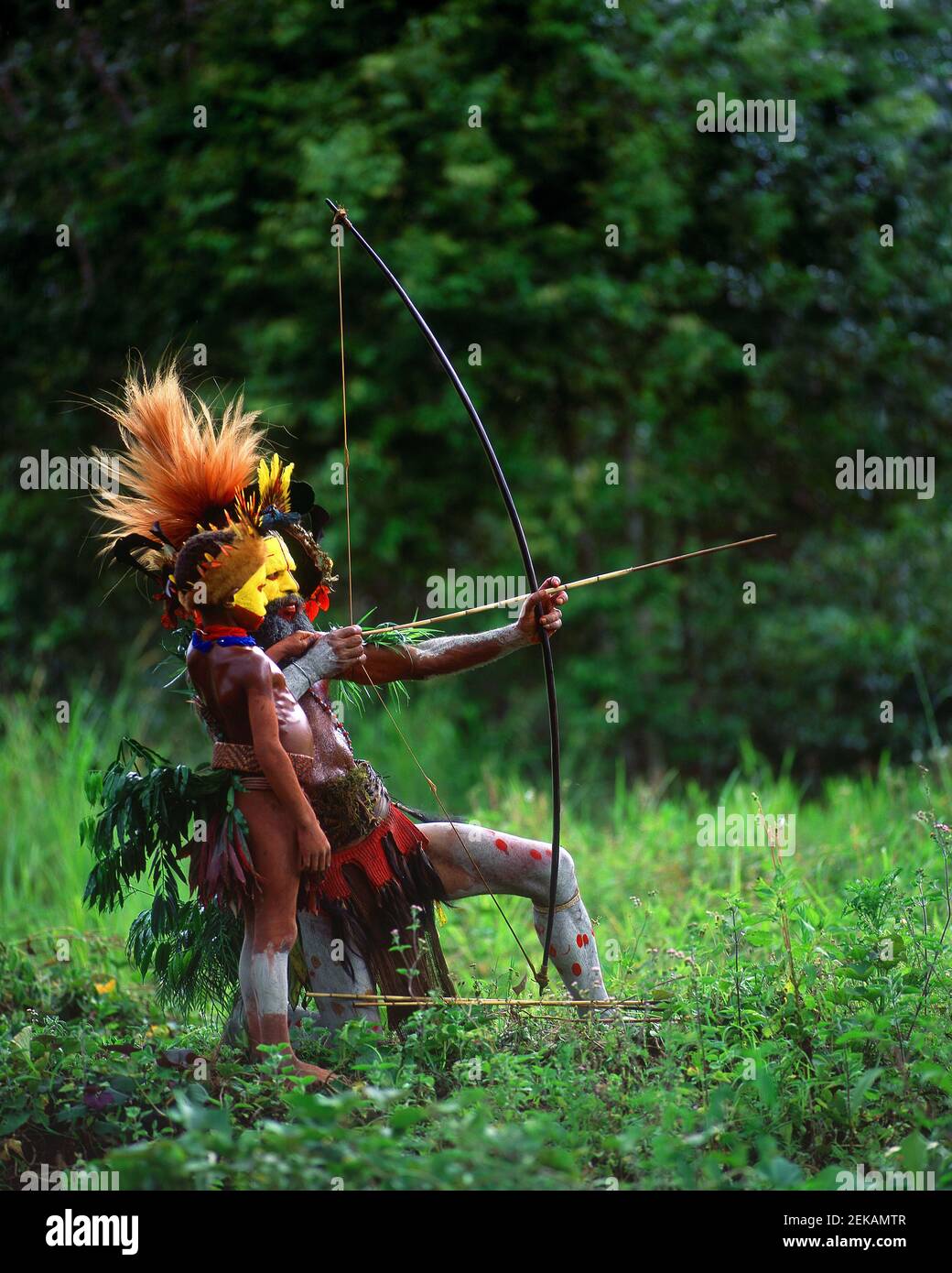 WIE EIN VATER WIE EIN SOHN - ein Bogenschütze lehrt seinen Sohn, wie er schießt. DIE HIGHLANDS, PAPUA-NEUGUINEA: STAMMESANGEHÖRIGEN, die sich in pulsierenden, bunten Körperschmerzen verkleidet haben Stockfoto