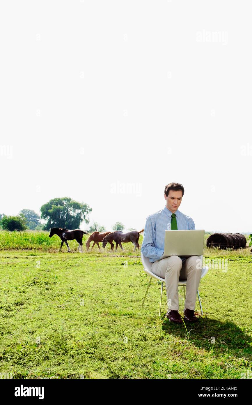 Geschäftsmann mit einem Laptop in einem Feld Stockfoto