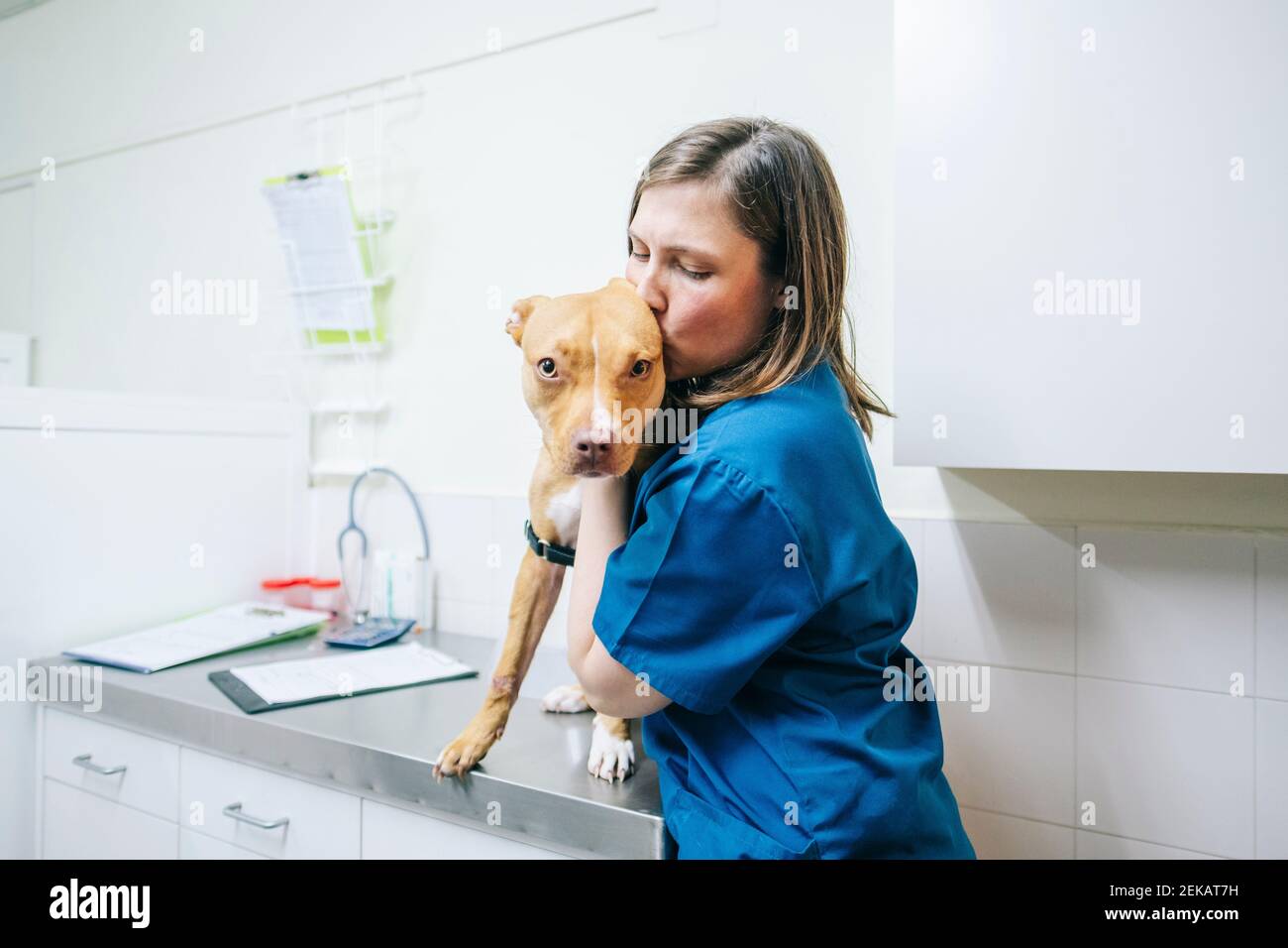 Weibliche Krankenschwester küssen Hund am Operationstisch in der Tierarztklinik Stockfoto