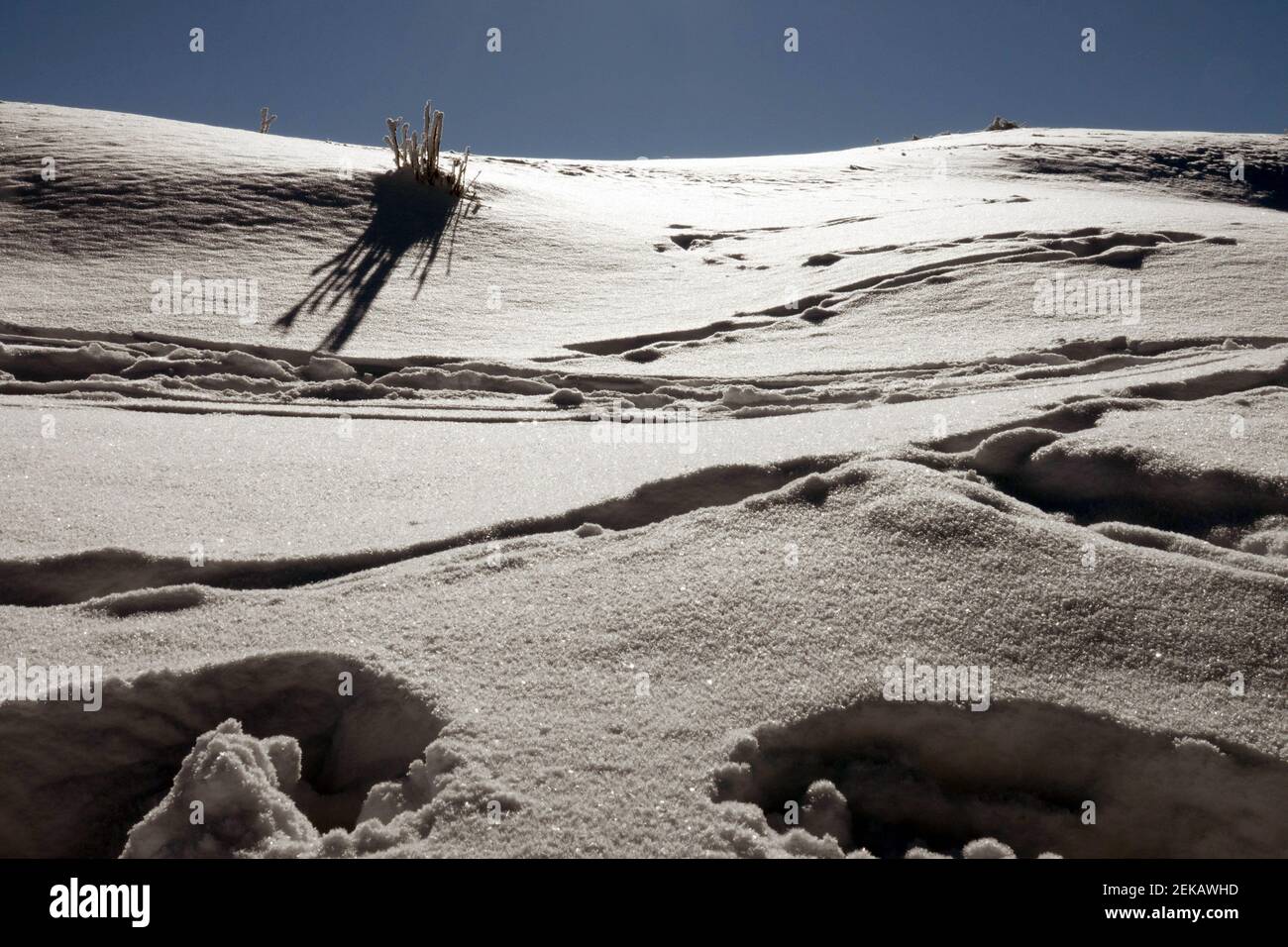 Spuren im Schnee Drift, Schnee bedeckt abstrakte Szene in der Wintersaison Stockfoto
