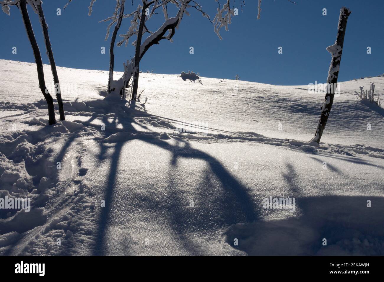 Schneeverwehung, abstrakte Schatten auf Schnee, Winterlandschaft Stockfoto