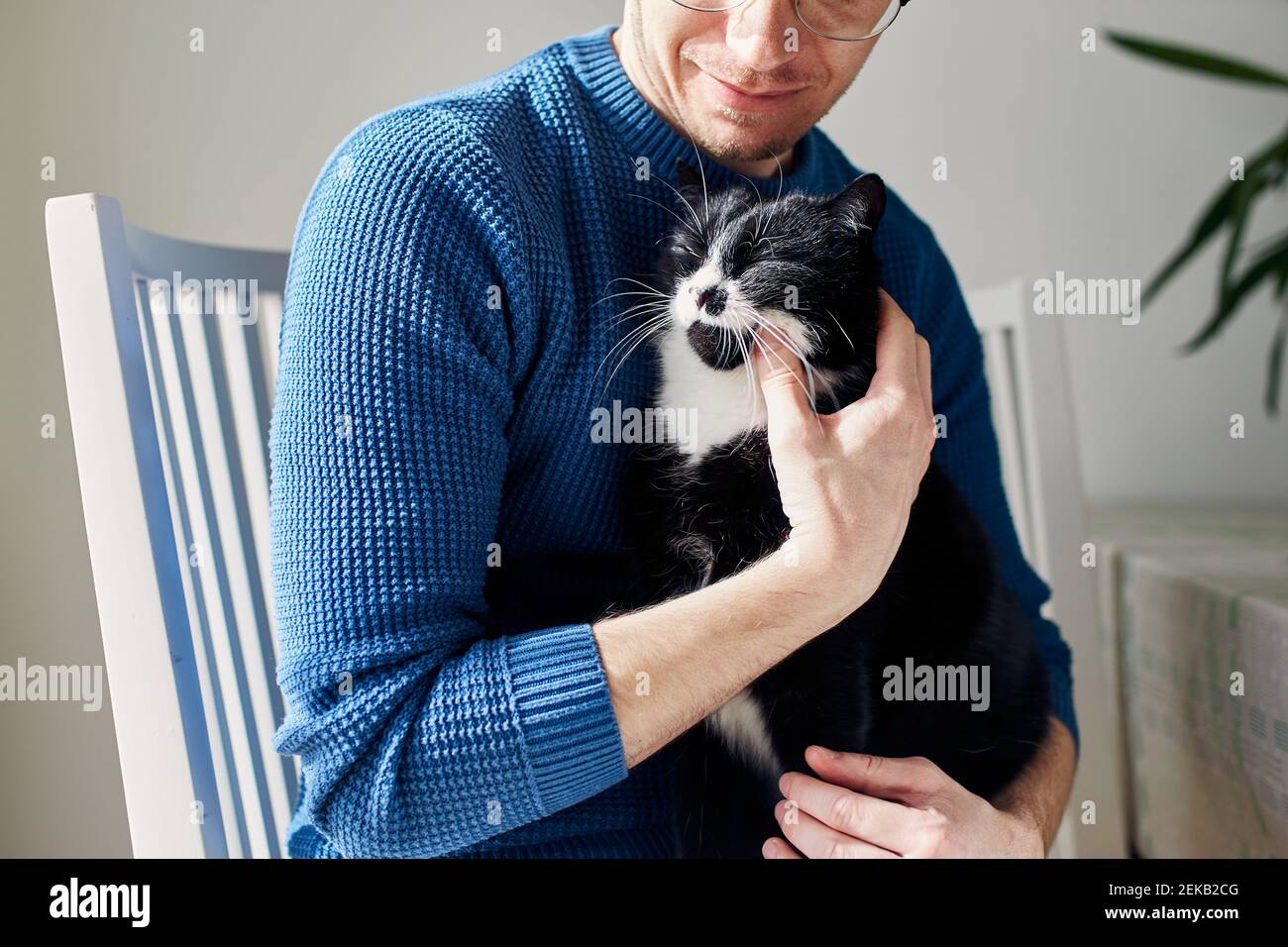 Junger Mann, der seine Katze an sonnigen Tagen in den Armen hält. Themen Vertrauen, Fürsorge und Freundschaft zwischen Menschen und Haustieren. Stockfoto