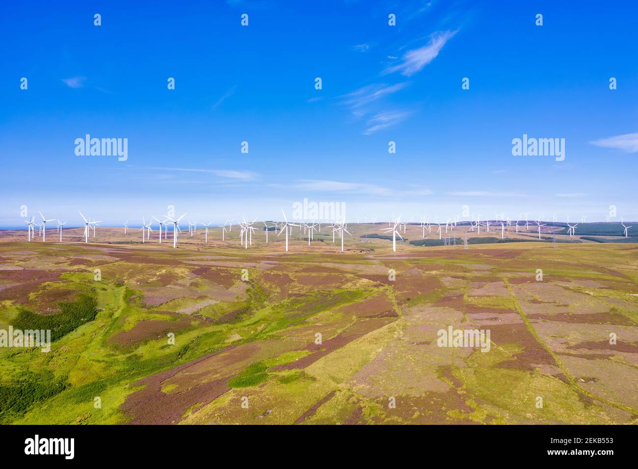 Großbritannien, Schottland, East Lothian, Luftaufnahme des Windparks auf Lammermuir Hills Stockfoto