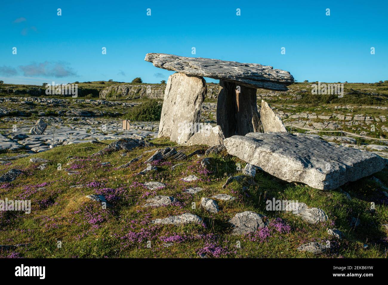 Poulnabrone Dolmen an Land gegen klaren blauen Himmel während sonnigen Tages, Clare, Irland Stockfoto