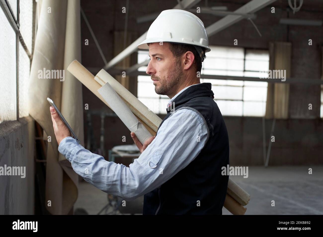 Männliche Immobilien-Entwickler halten Blaupause mit digitalen Tablet, während Im Gebäude stehend Stockfoto