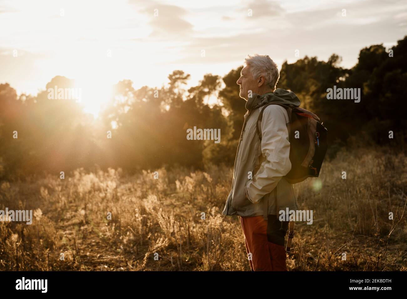 Älterer männlicher Wanderer mit Händen in den Taschen, die auf der Landwirtschaft stehen Feld bei Sonnenuntergang Stockfoto