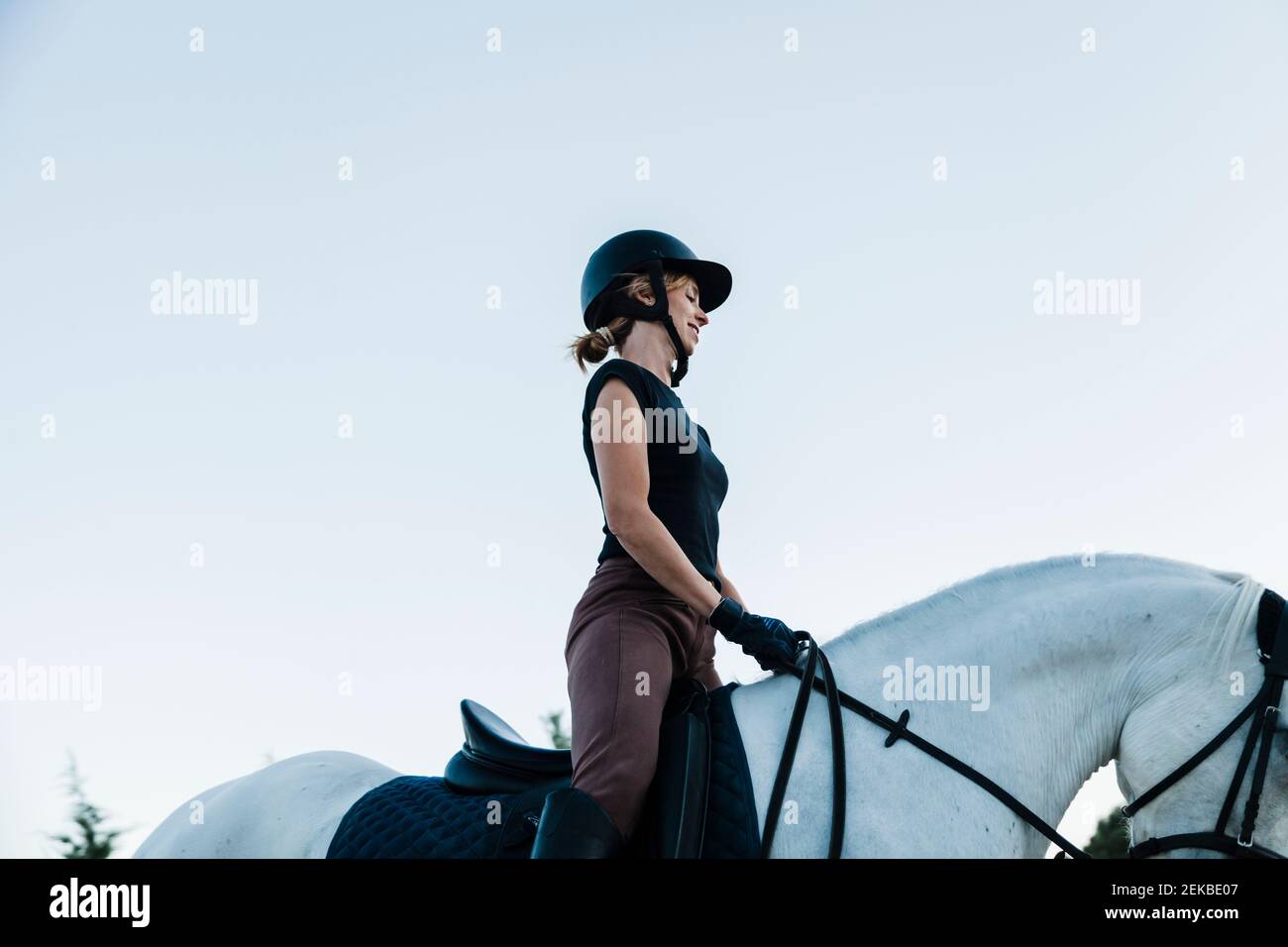 Frau trägt Kopfbedeckung Reiten Pferd gegen klaren Himmel Stockfoto