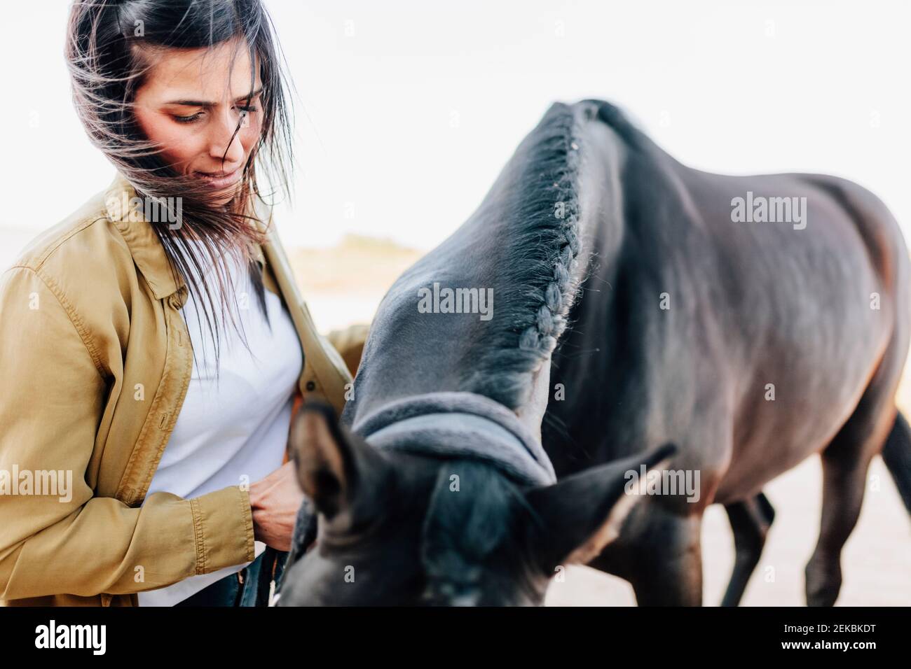 Frau, die tagsüber zu Pferd steht Stockfoto