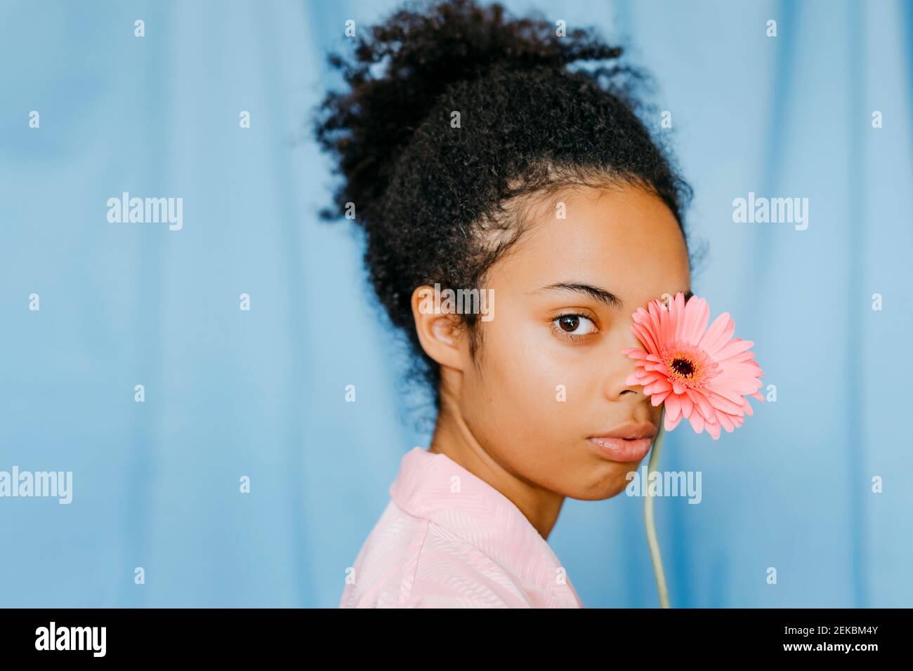 Lockig haarige Frau, die das Auge mit einer rosa Gerbera-Gänseblümchen bedeckt Stockfoto