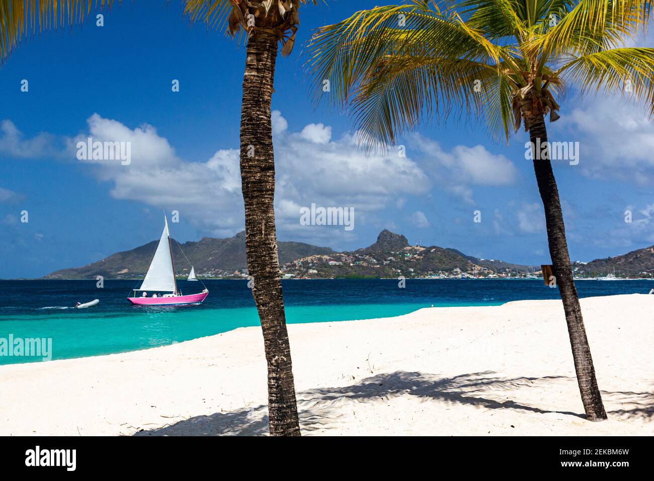 Blick zwischen 2 Palmen von Casuarina Beach, Türkisfarbenes Karibisches Meer, Rosa Yacht und Union Insel mit blauem Himmel. Palm Island Stockfoto