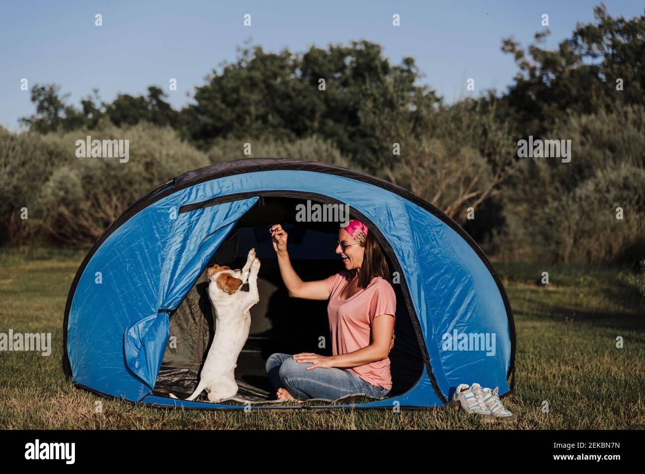 Fröhliche Frau, die mit Hund spielt, während sie im Zelt sitzt Stockfoto