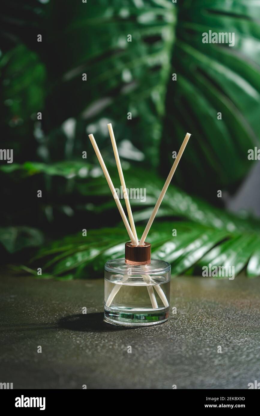 Aroma-Schilf-Diffusor, Raumduft-Flasche mit Rattan-Sticks und Duft